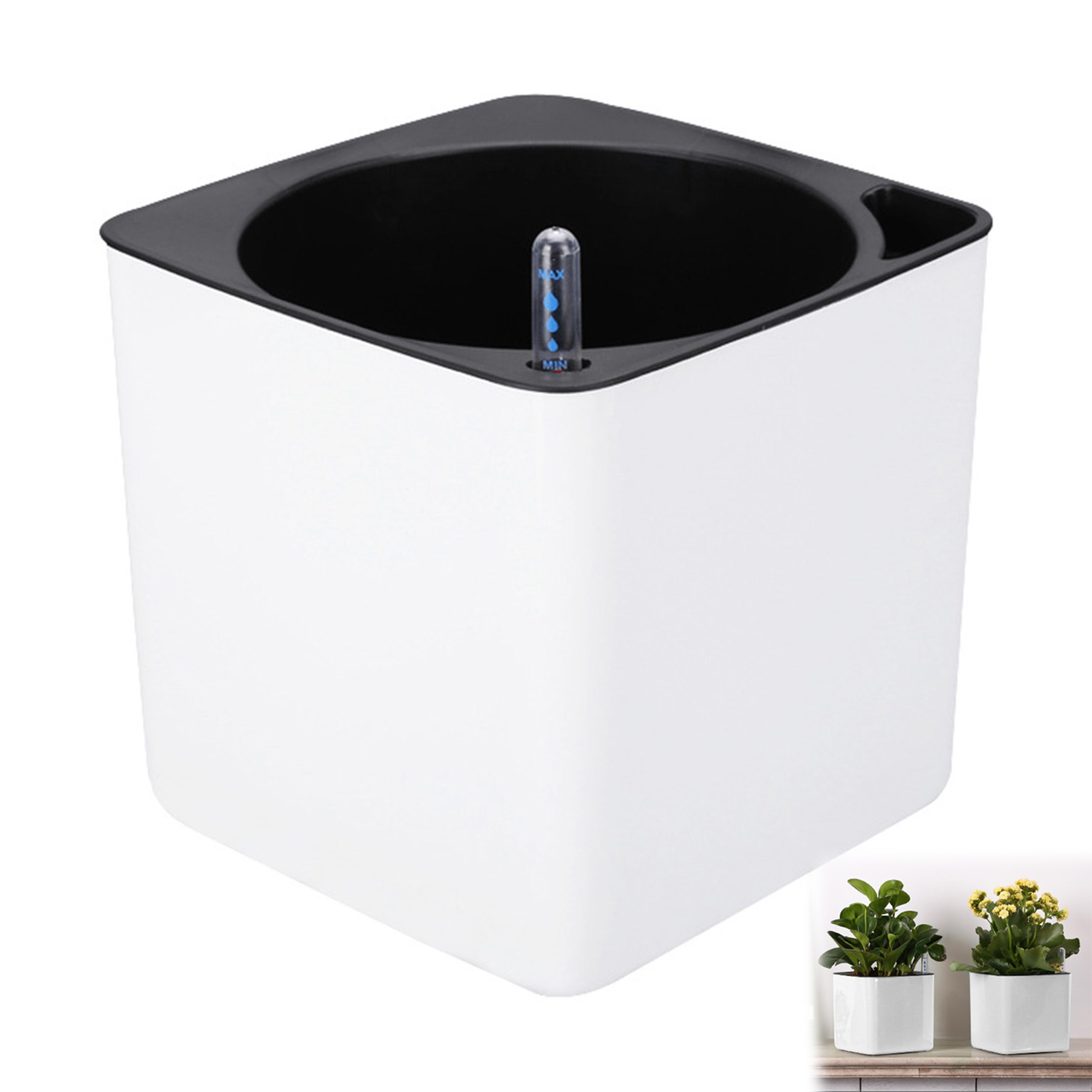 Self Watering Insert - Piante da fiori con irrigazione automatica
