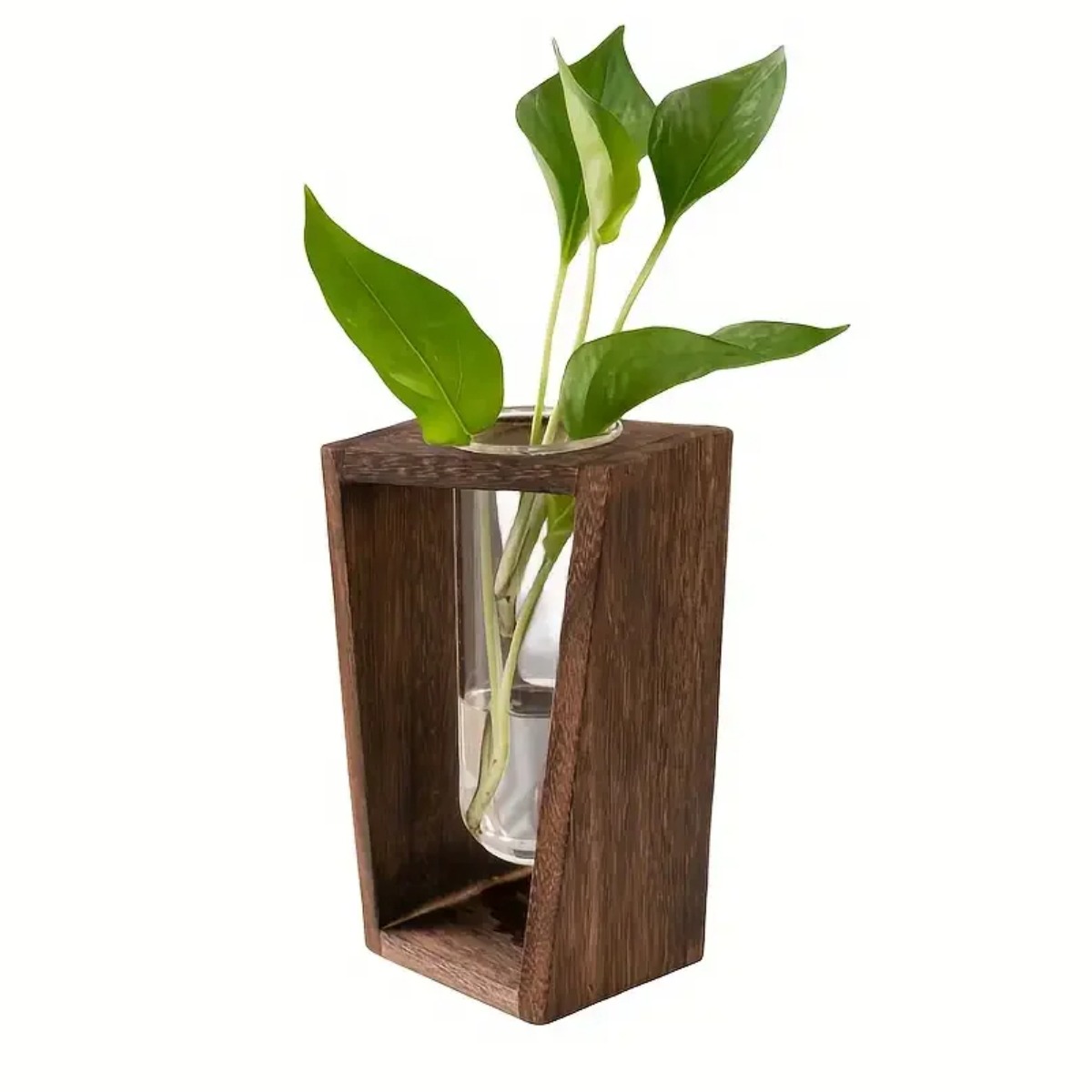 Propagation Station Vase - Stazione di Propagazione Piante, Vaso Idroponico,