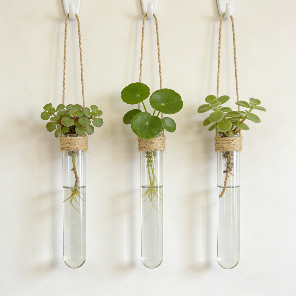 Propagation Station Vase - Vaso Idroponico da Parete con Tubi