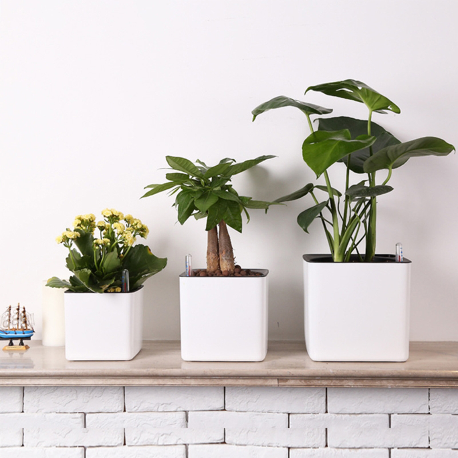 Self Watering Insert - Vaso Autoirrigante con Indicatore di Livello