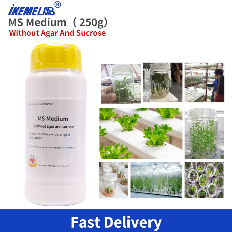 Agar Tissue Culture - IKEME Lab MS Medio 250g Senza