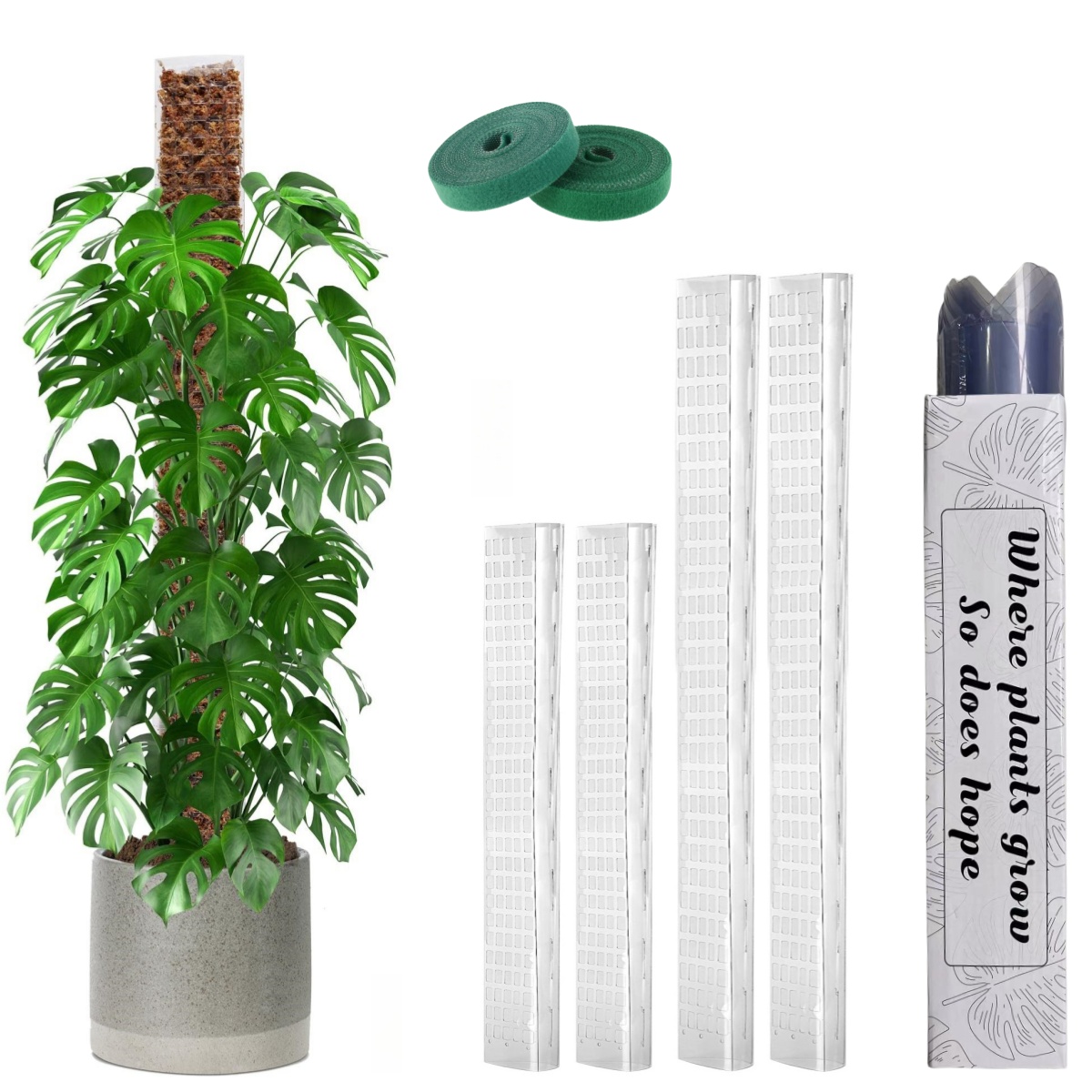 Sphagnum Moss Dry - Palo di supporto in plastica da
