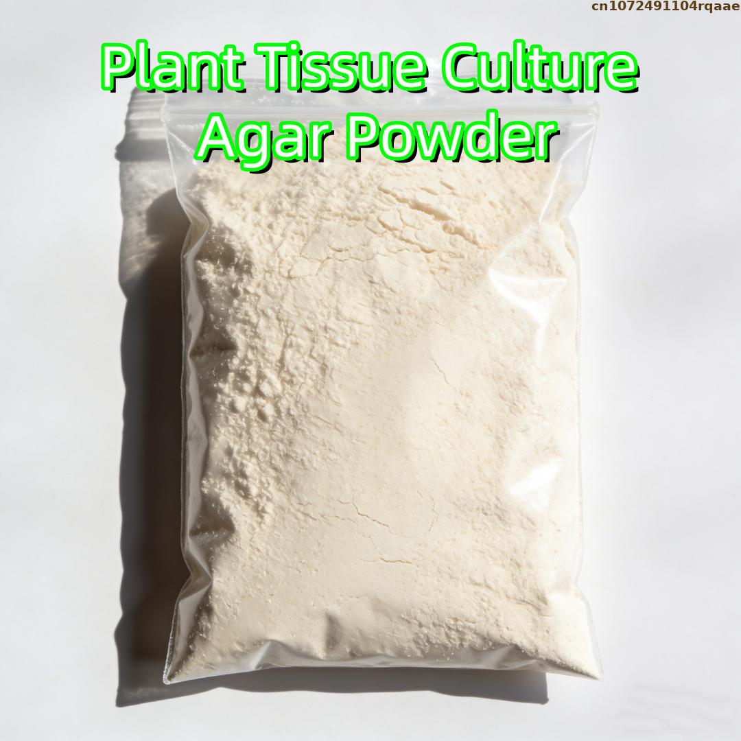 Agar Tissue Culture - Agar in polvere per colture di