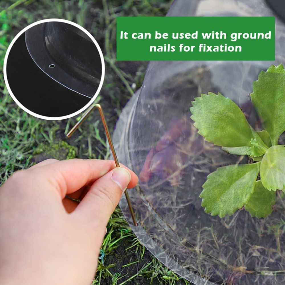 Plastic Dome Clear - Copertura Protettiva Riutilizzabile in Plastica Trasparente
