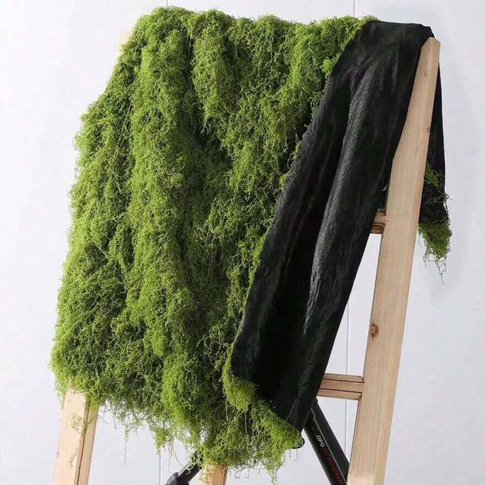 Sphagnum Moss Dry - 1*1m Muschio Finto Artigianato FAI DA
