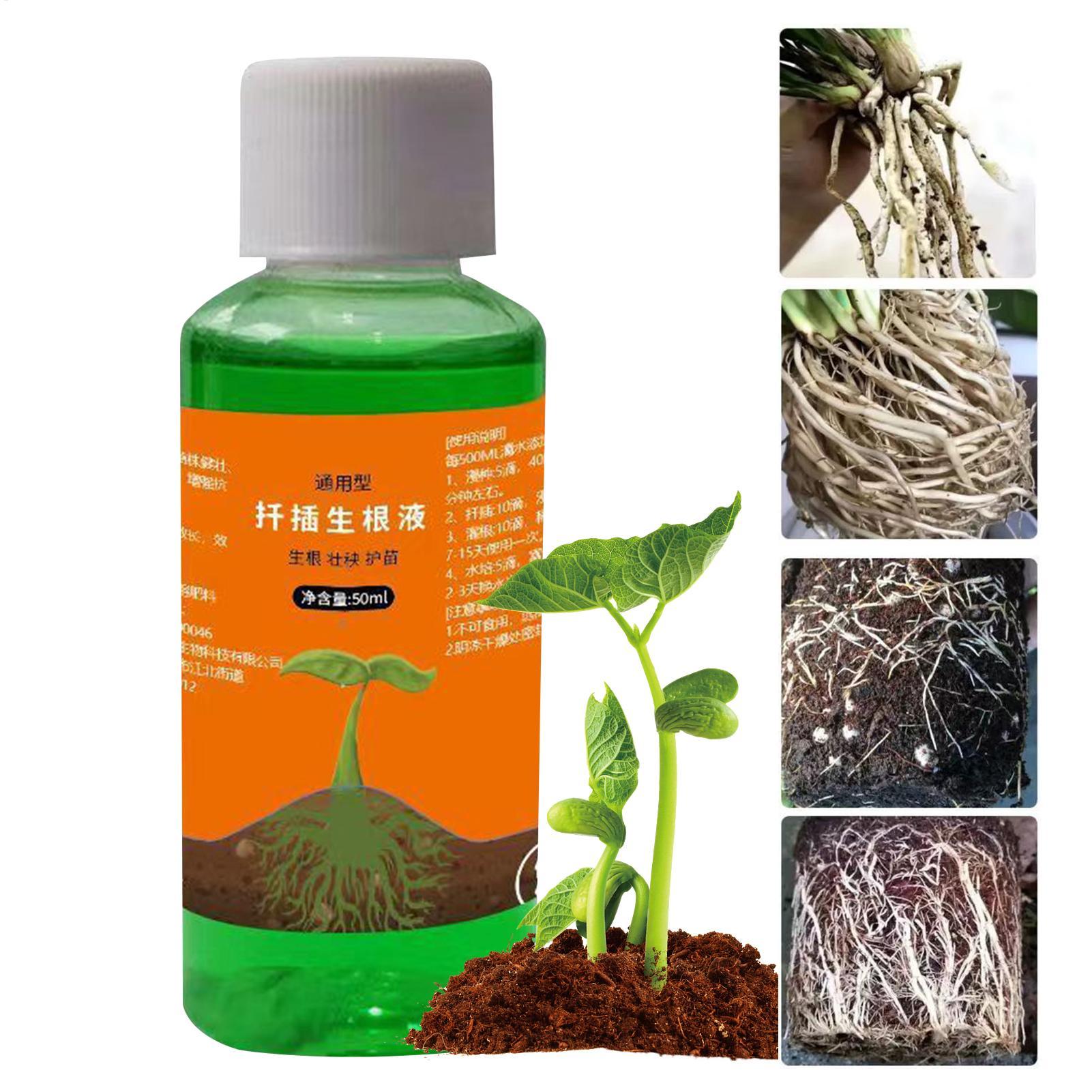 Root Stimulator Liquid - Stimolatore di Radici ad Alta Efficienza