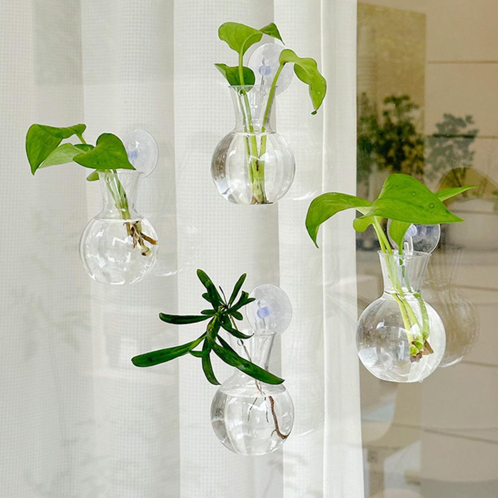 Propagation Station Vase - 1/2/3/4/6/8 Pezzi Vaso per Propagazione Piante