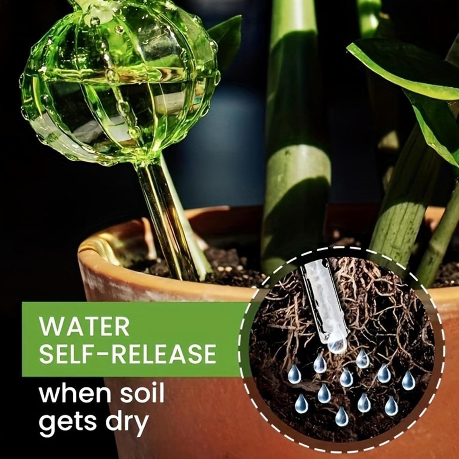 Self Watering Insert - Pali per irrigazione piante, 3 pezzi,