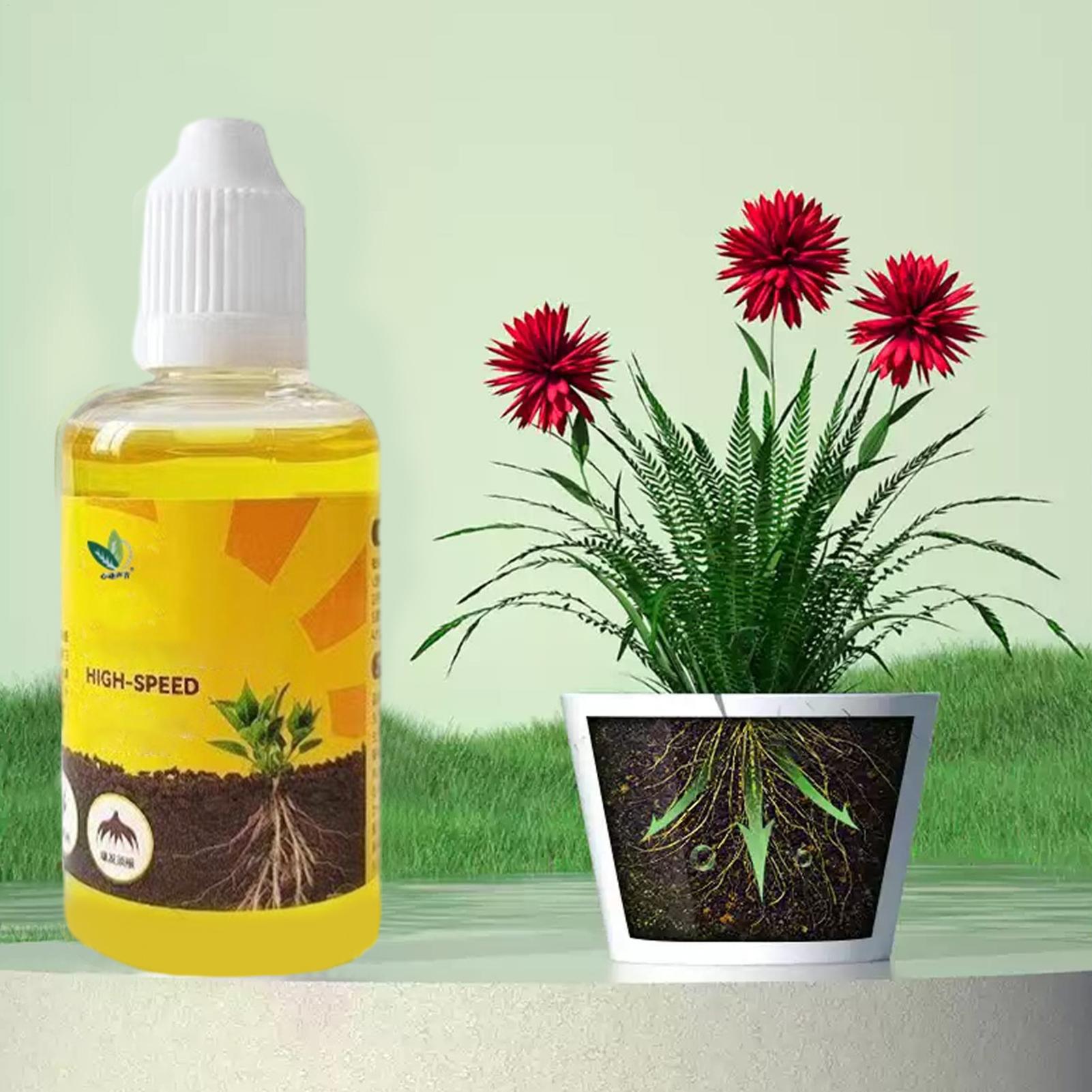 Root Stimulator Liquid - Soluzione per Radicazione Rapida delle Piante