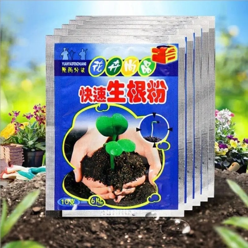 Rooting Hormone Powder - 5 pz Radicazione Veloce Polvere Pianta
