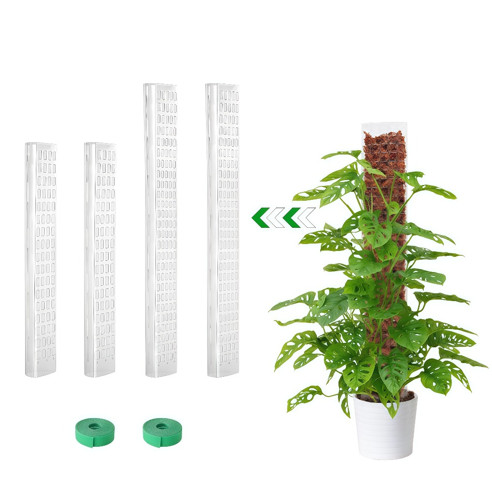 Sphagnum Moss Dry - Supporto per piante rampicanti da interno