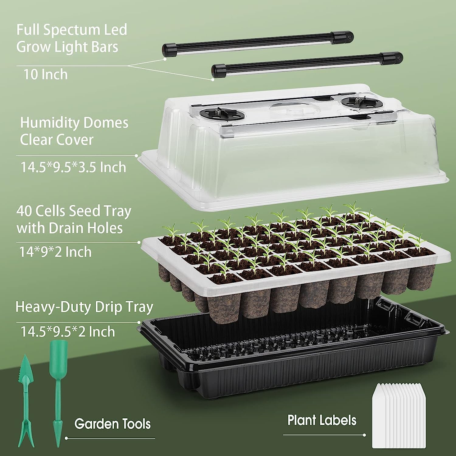【Il Migliore】 1 Set, Vassoi pe - Humidity Dome Kit recensione e prezzo