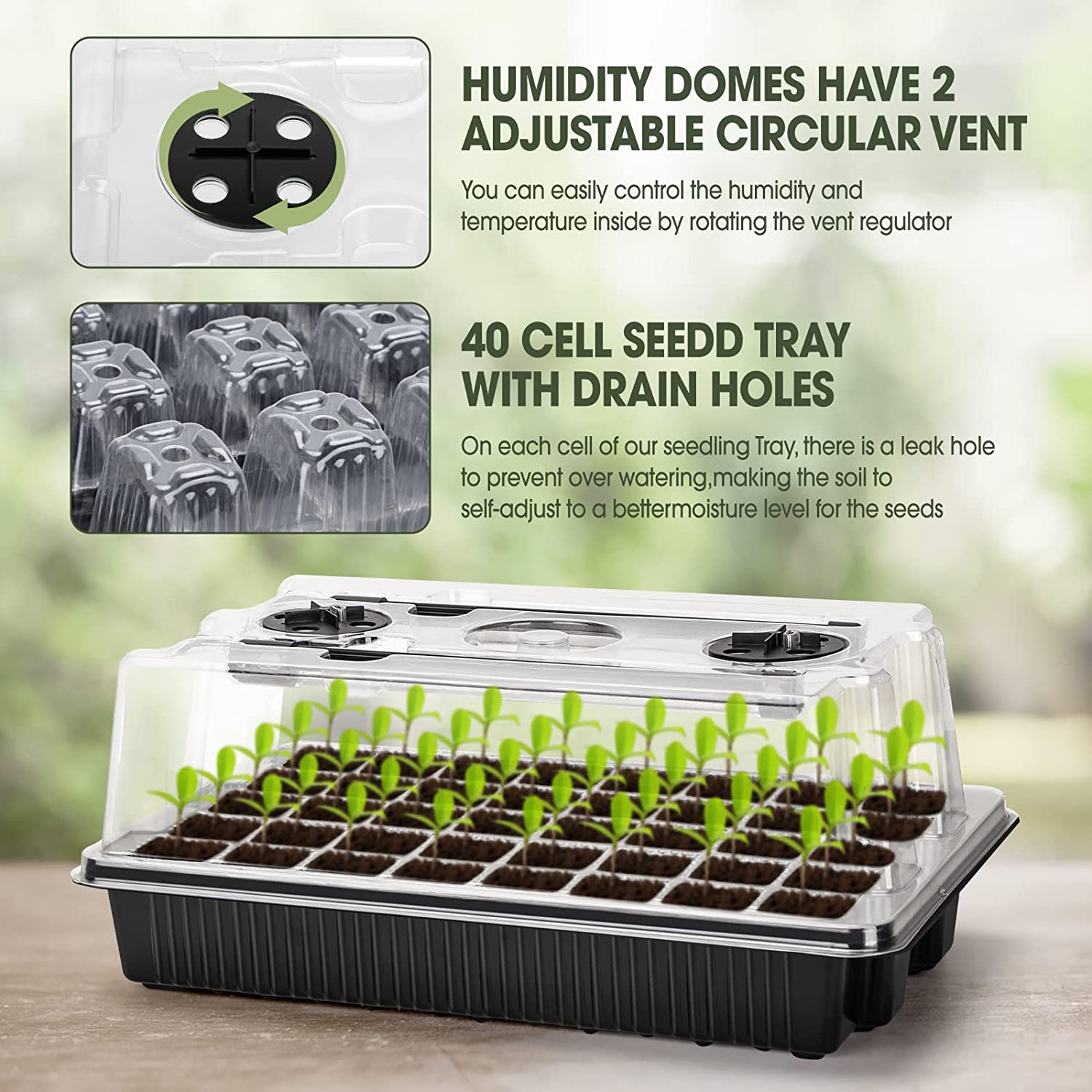 【Il Migliore】 1 Set, Vassoi pe - Humidity Dome Kit recensione e prezzo