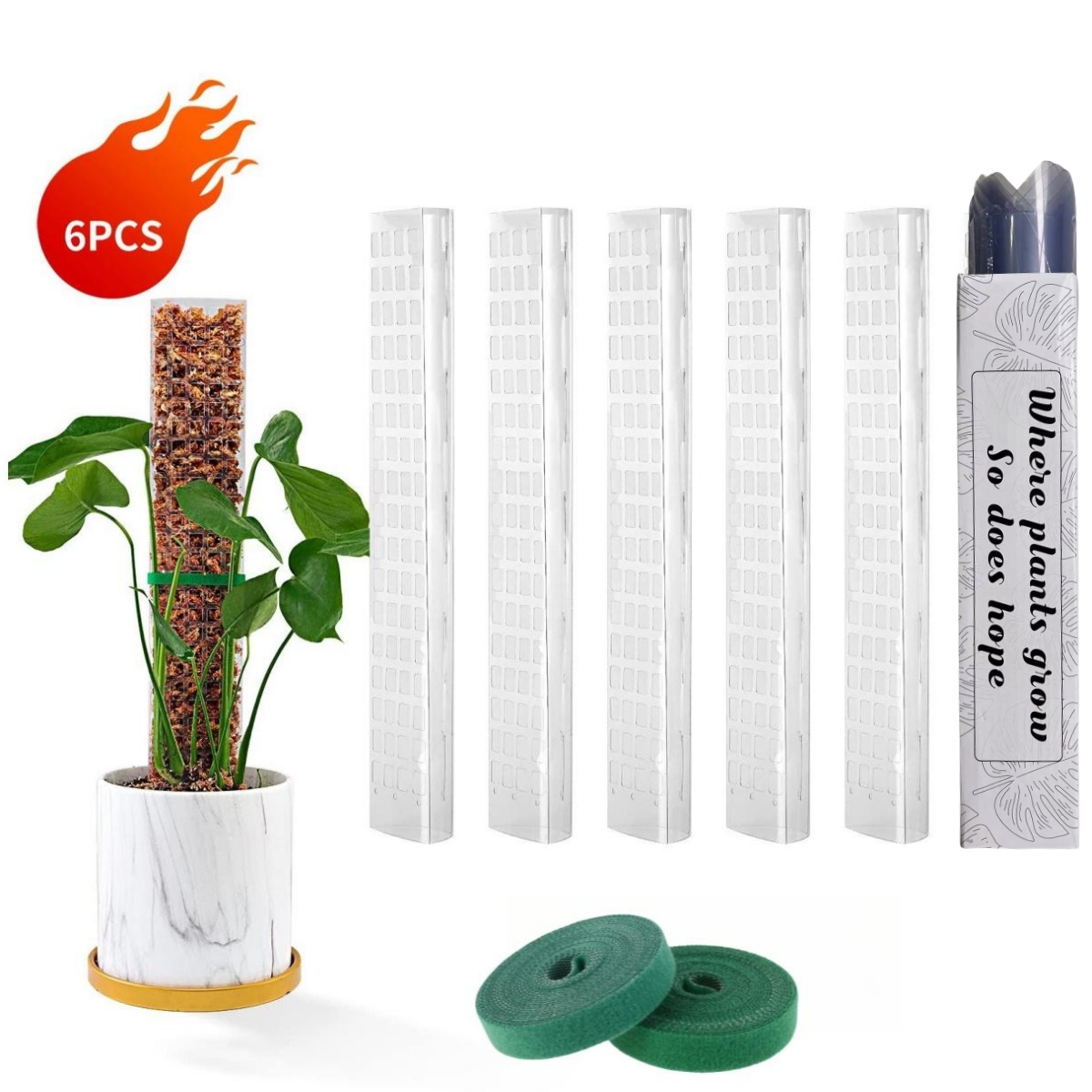 Pali di muschio Piante Support - Sphagnum Moss Dry recensione e prezzo