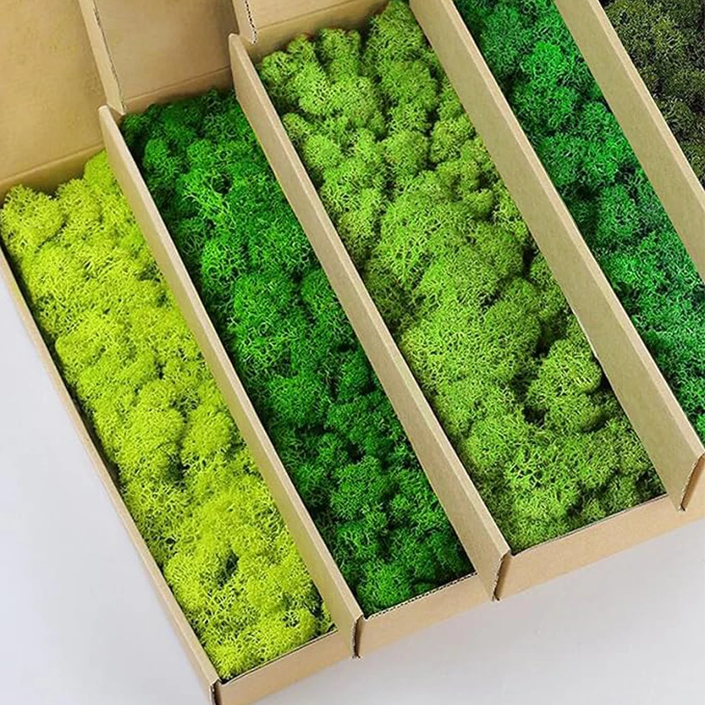 20-200g Piante verdi artificia - Sphagnum Moss Dry recensione e prezzo