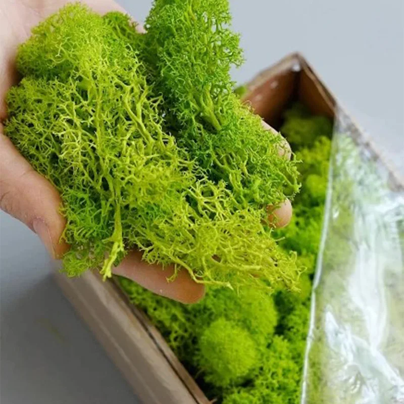 20-200g Piante verdi artificia - Sphagnum Moss Dry recensione e prezzo