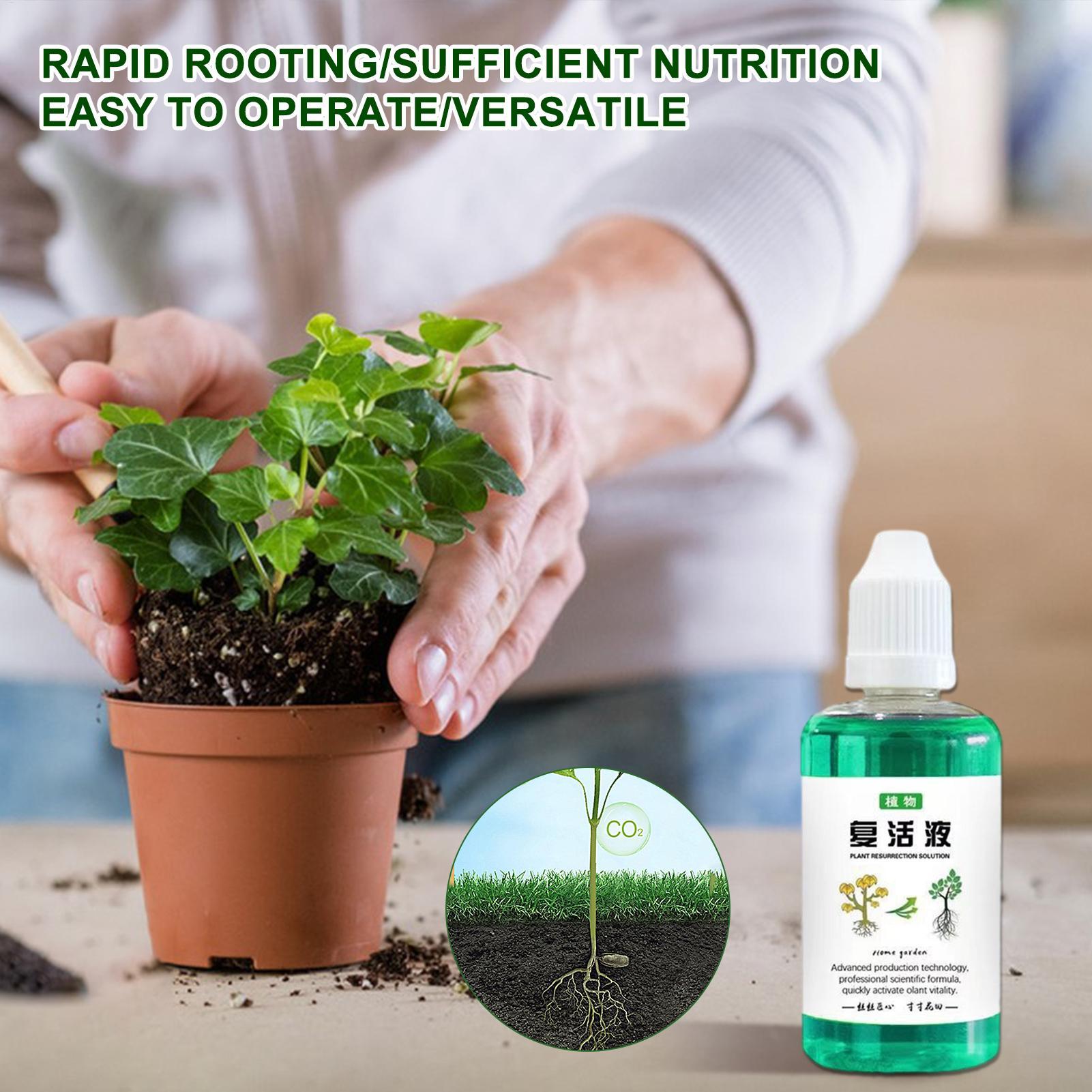 Stimolatore di Radici 50ml, Li - Root Stimulator Liquid recensione e prezzo