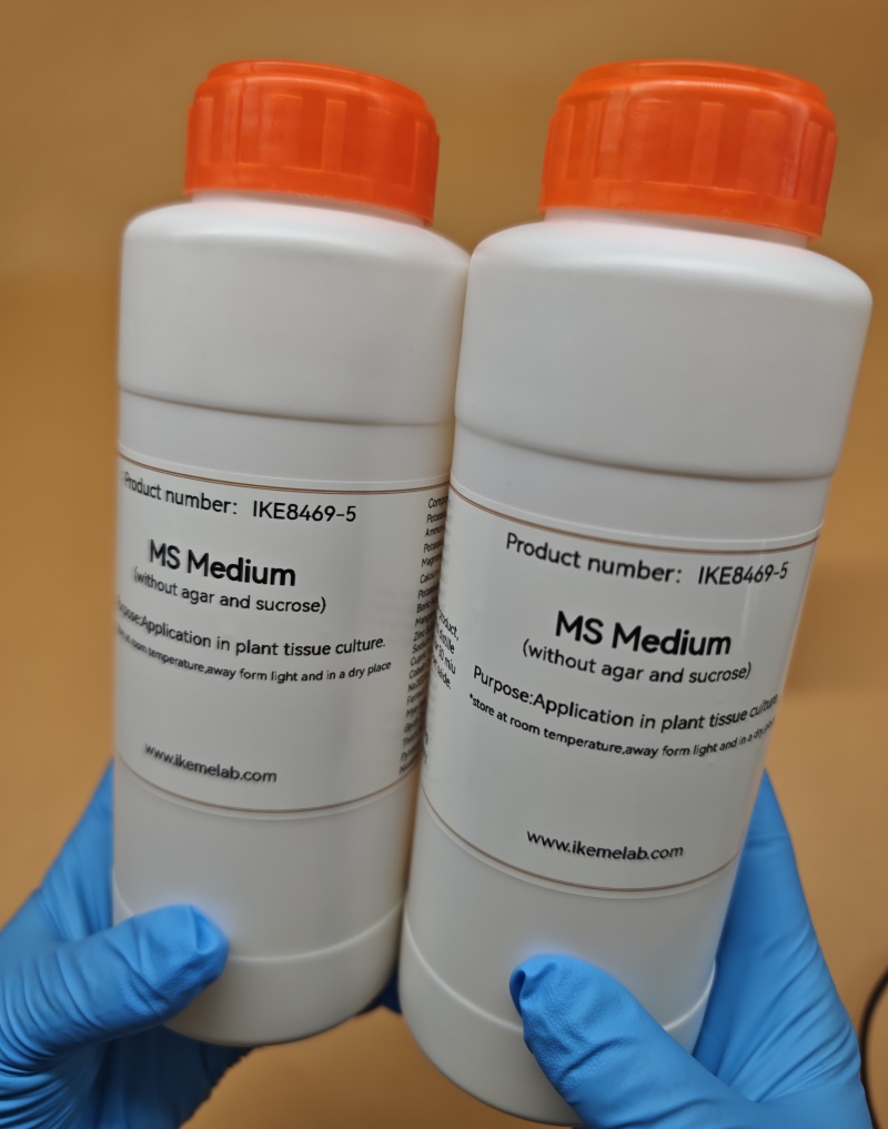 IKEME Laboratorio da 250 g MS  - Agar Tissue Culture recensione e prezzo