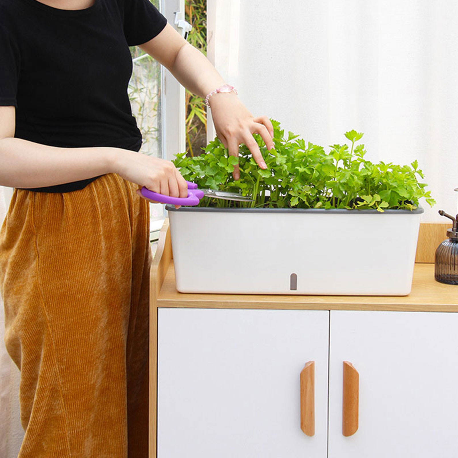 Fioriera autoirrigante con pra - Self Watering Insert recensione e prezzo