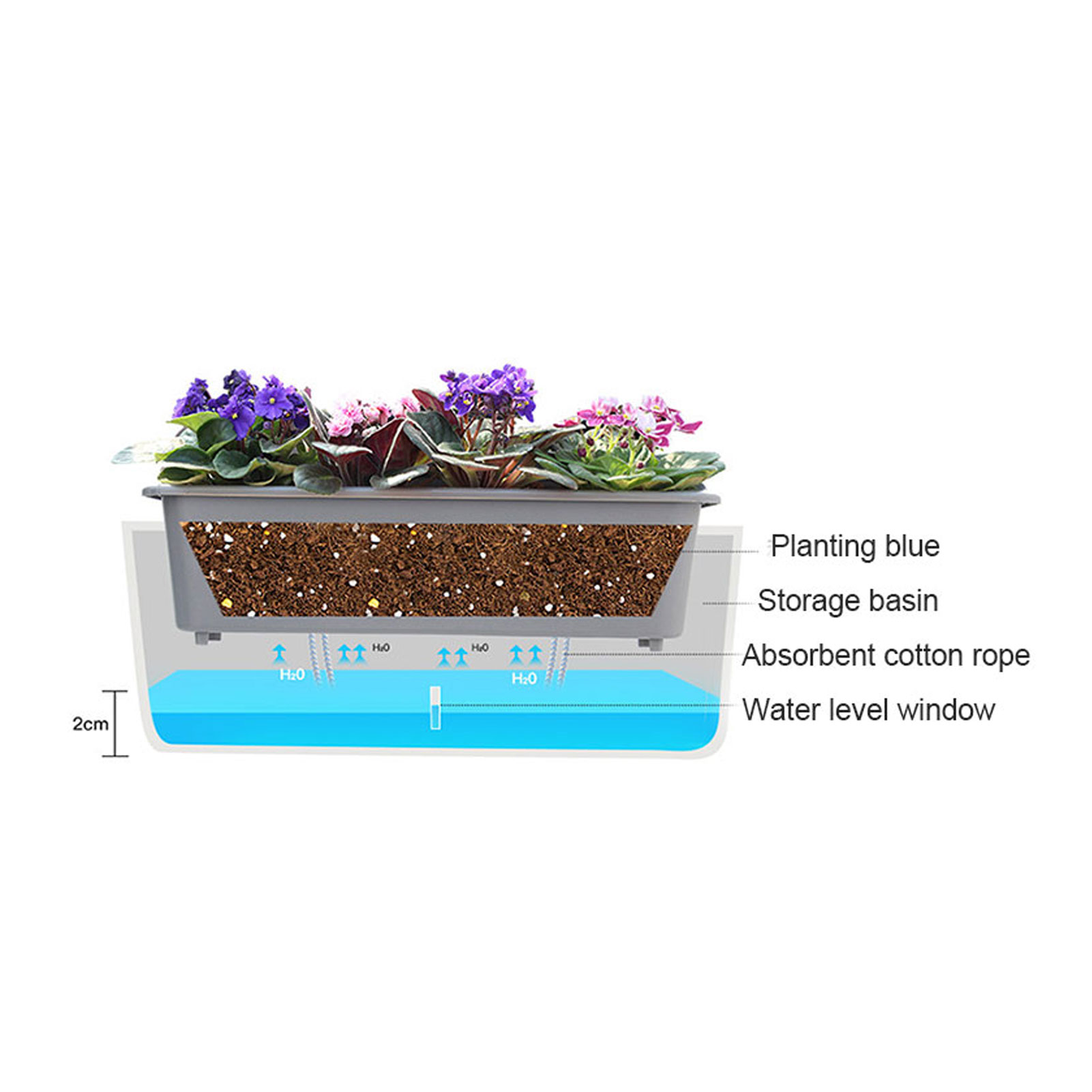 Fioriera autoirrigante con pra - Self Watering Insert recensione e prezzo