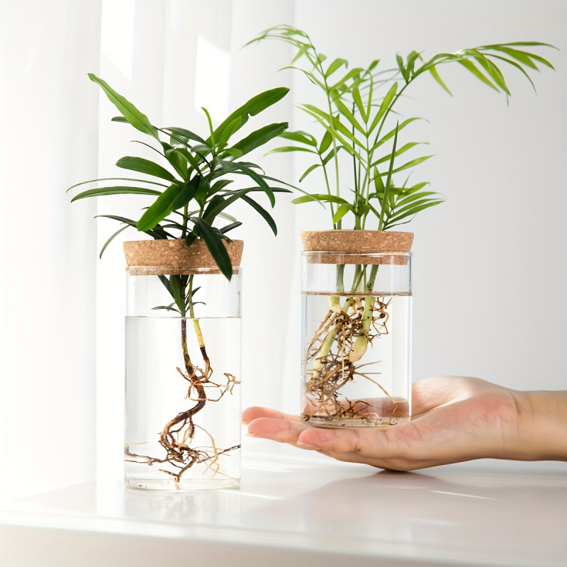 1 pz, piante idroponiche vaso  - Propagation Station Vase recensione e prezzo