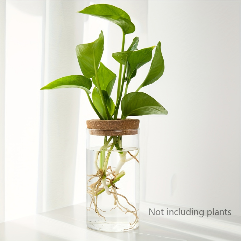 1 pz, piante idroponiche vaso  - Propagation Station Vase recensione e prezzo