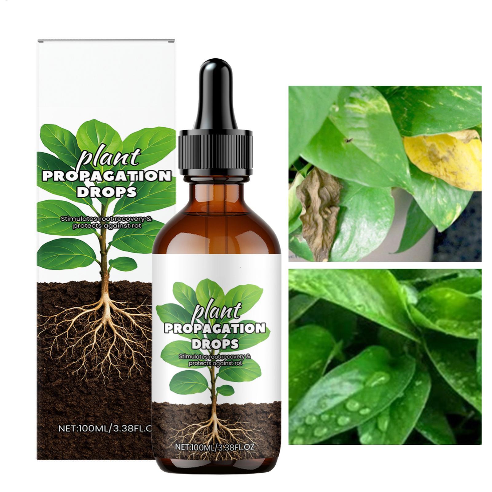 Rain Booster 100ml Gocce liqui - Root Stimulator Liquid recensione e prezzo