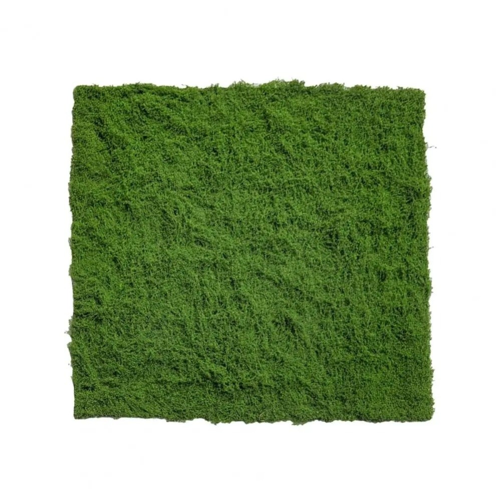 Tappeto in Erba Sintetica Fai- - Sphagnum Moss Dry recensione e prezzo