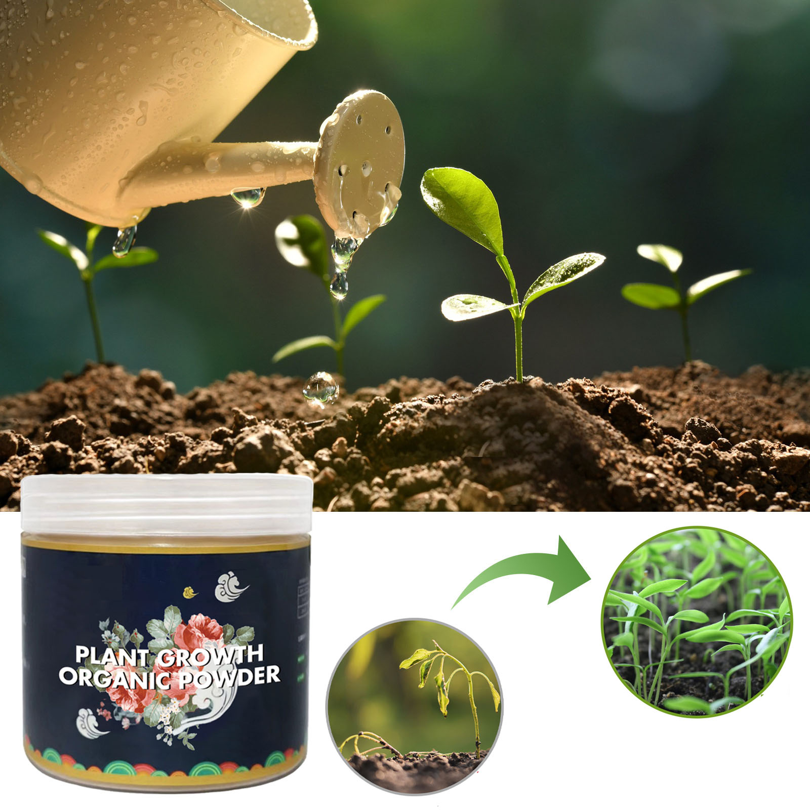 Polvere per radicazione veloce - Rooting Hormone Powder recensione e prezzo