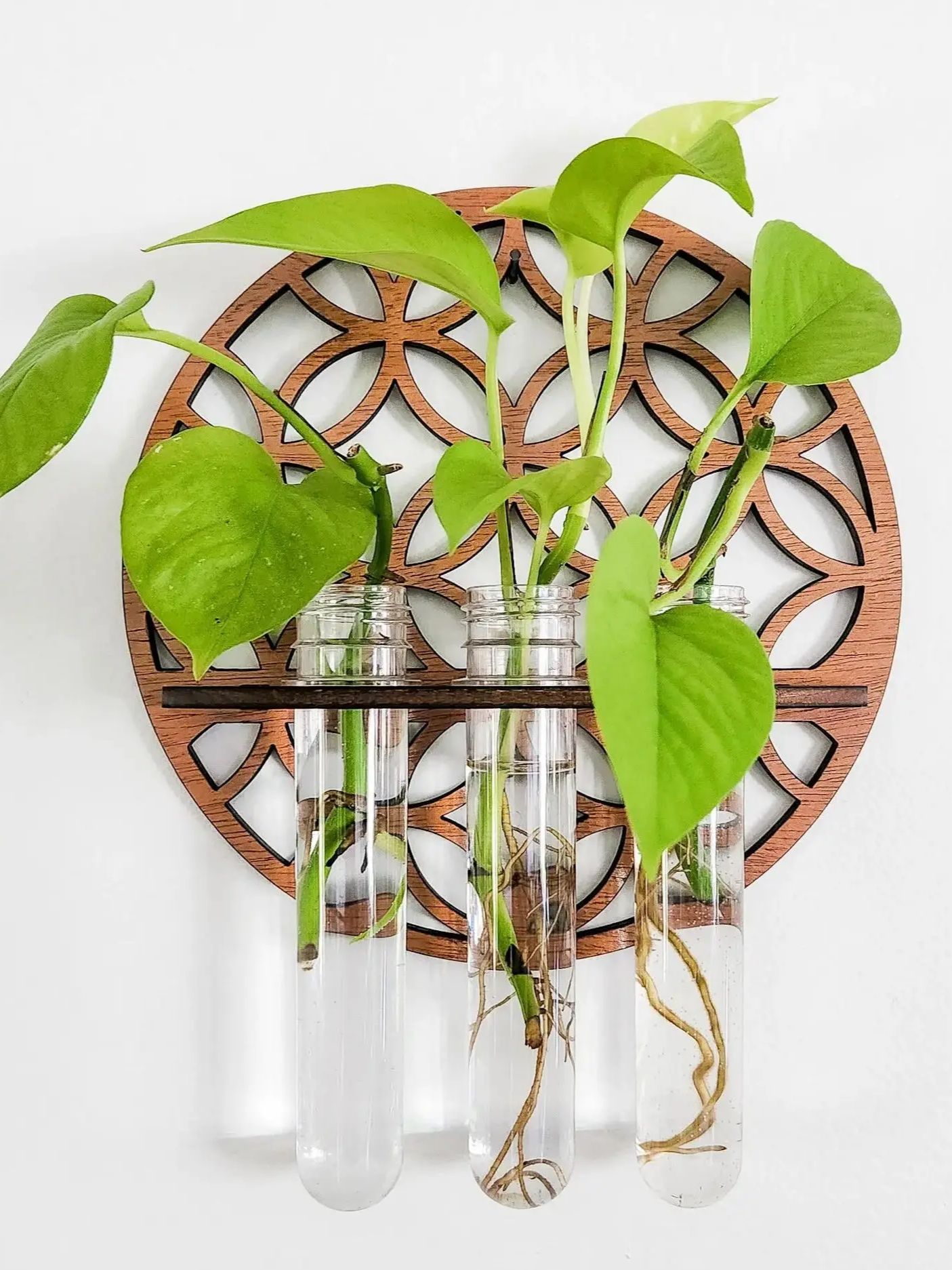 Fioriere da parete da giardino - Propagation Station Vase recensione e prezzo