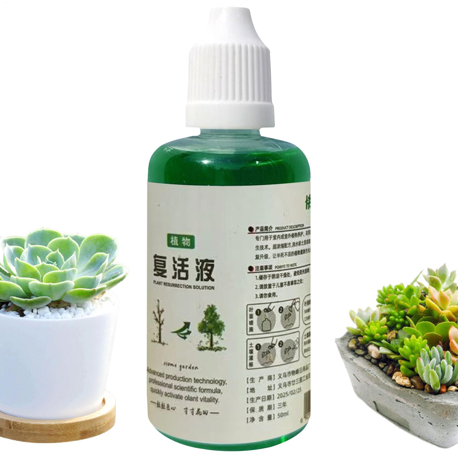 Stimolatore di Radici, Liquido - Root Stimulator Liquid recensione e prezzo