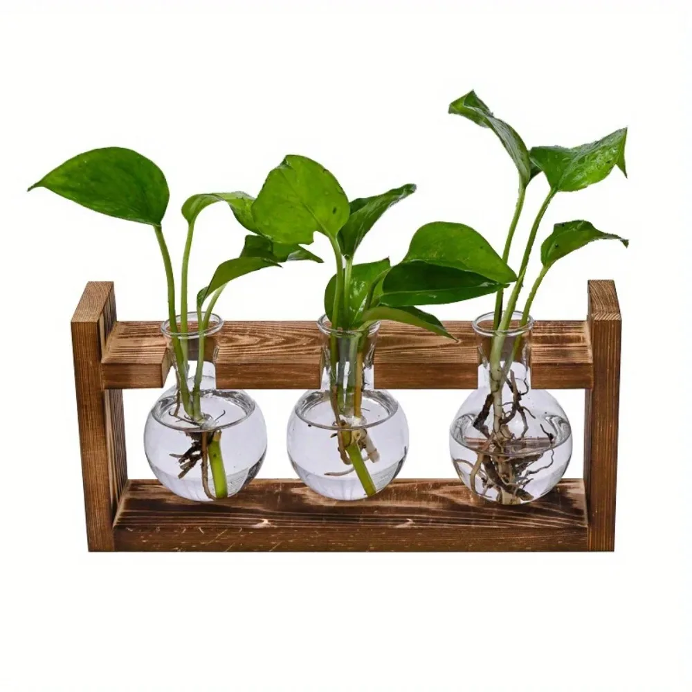 Vaso per piante idroponiche co - Propagation Station Vase recensione e prezzo