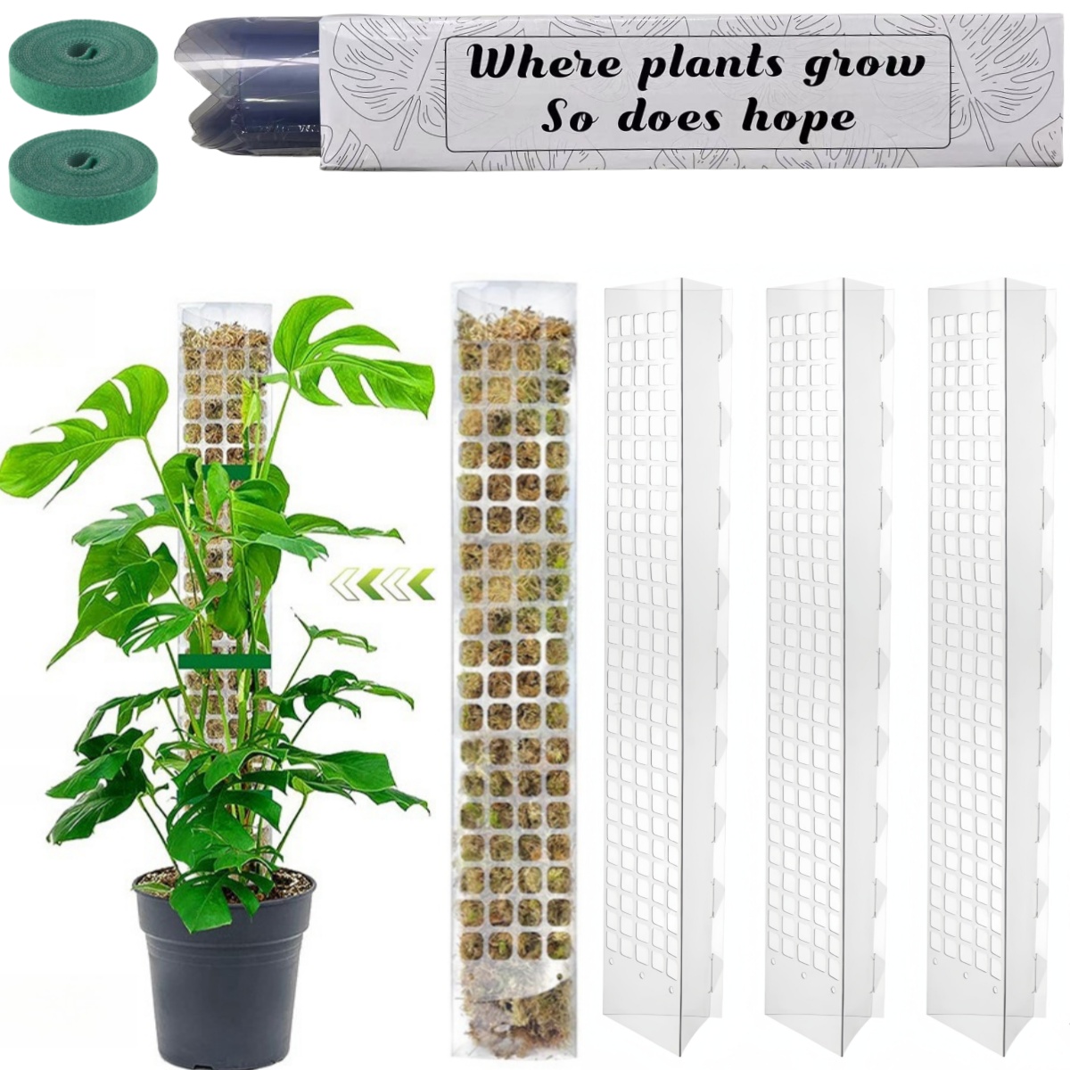 Supporto per piante in plastic - Sphagnum Moss Dry recensione e prezzo