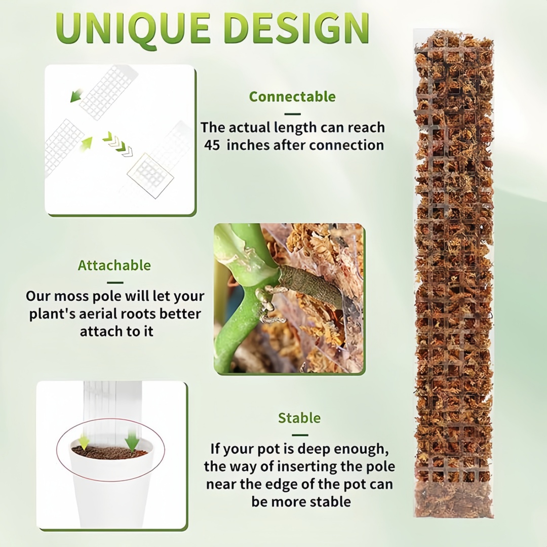 Supporto per piante in plastic - Sphagnum Moss Dry recensione e prezzo
