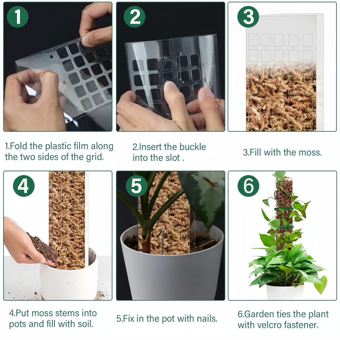 Supporto per piante in plastic - Sphagnum Moss Dry recensione e prezzo
