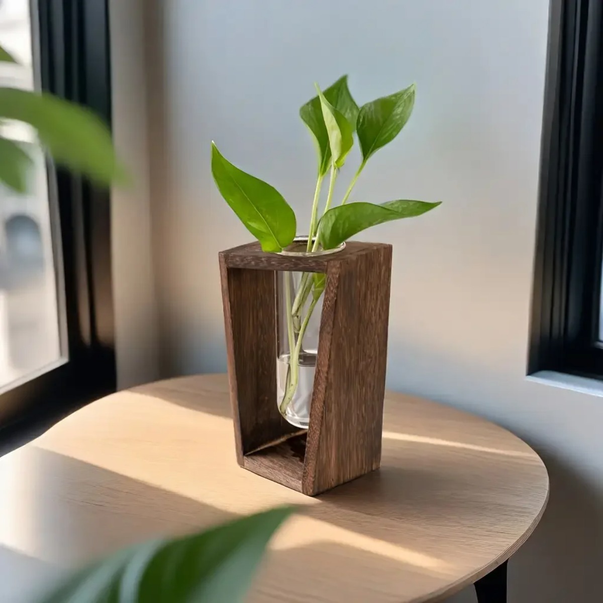 Stazione di Propagazione Piant - Propagation Station Vase recensione e prezzo