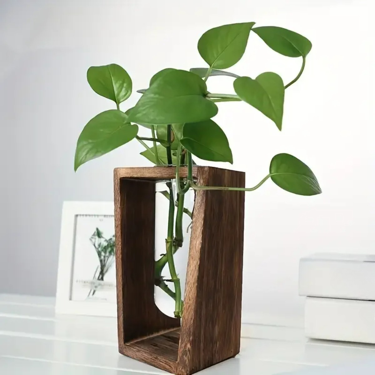 Stazione di Propagazione Piant - Propagation Station Vase recensione e prezzo