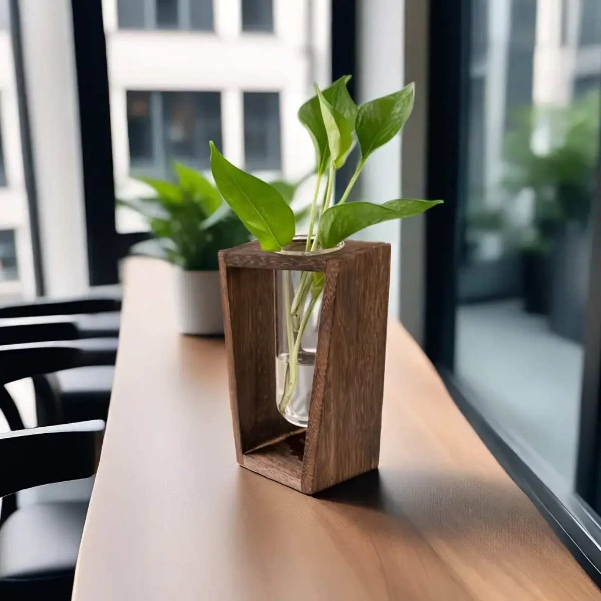 Stazione di Propagazione Piant - Propagation Station Vase recensione e prezzo