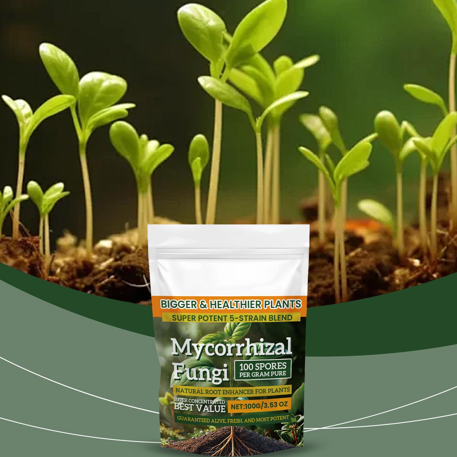 Nuova Polvere Nutriente per Pi - Rooting Hormone Powder recensione e prezzo