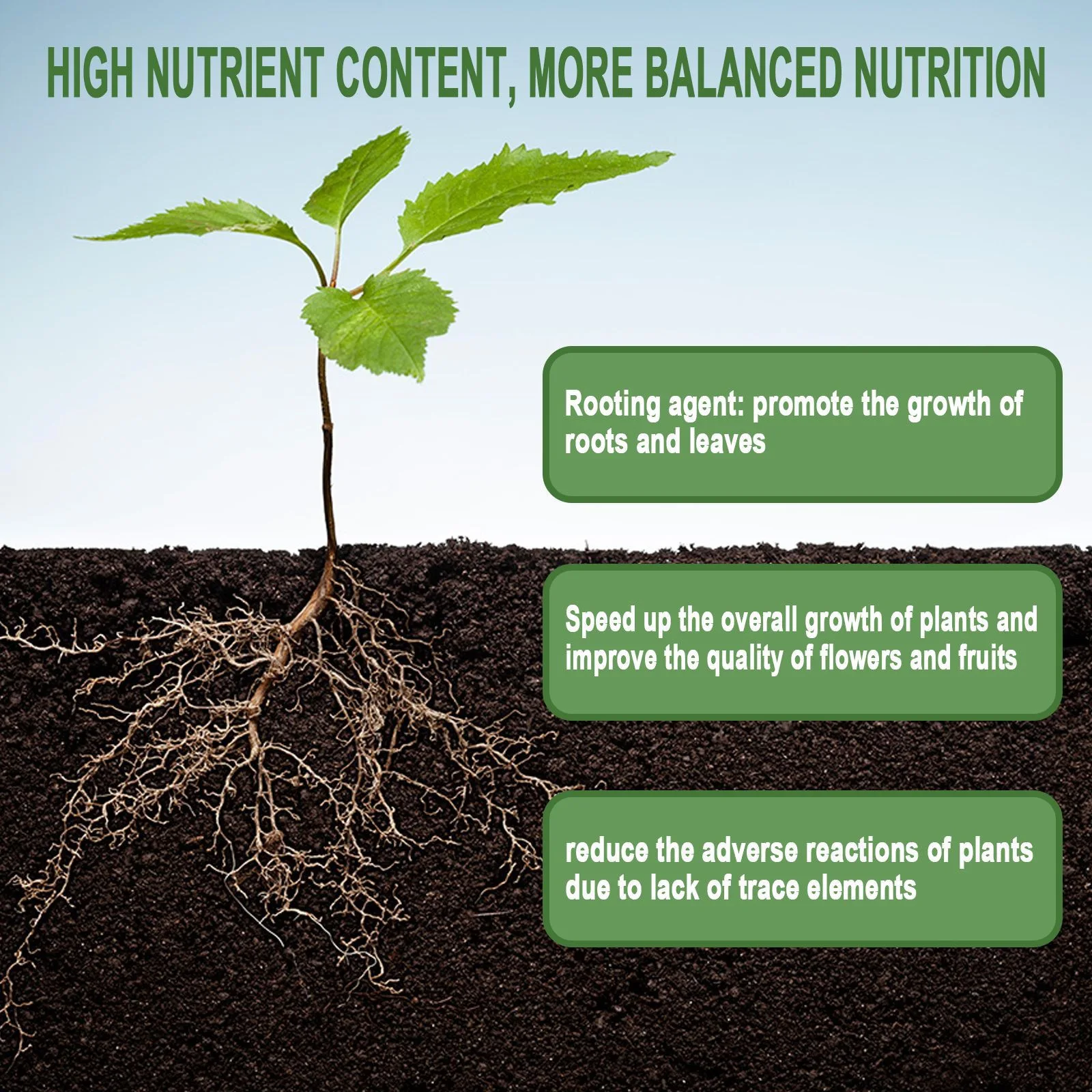 1 Rare Pianta Radicamento In P - Rooting Hormone Powder recensione e prezzo