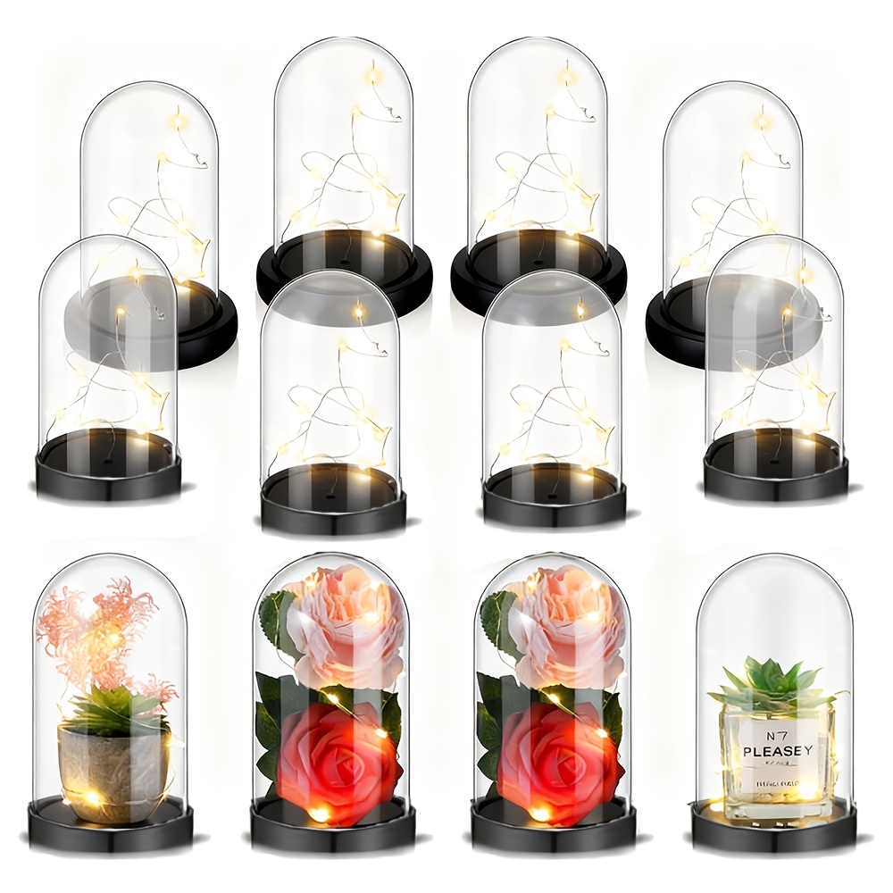 Scatola Trasparente in Plastic - Plastic Dome Clear recensione e prezzo