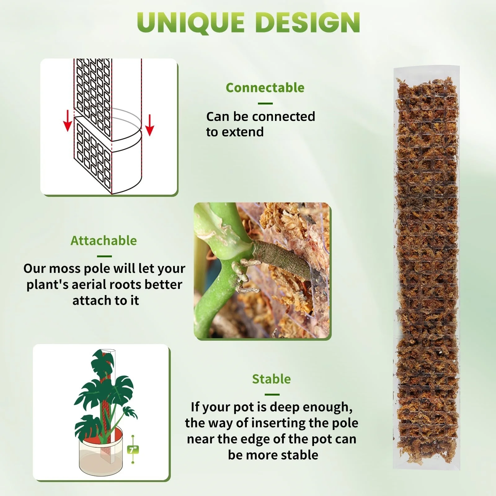 Palo di supporto in plastica d - Sphagnum Moss Dry recensione e prezzo