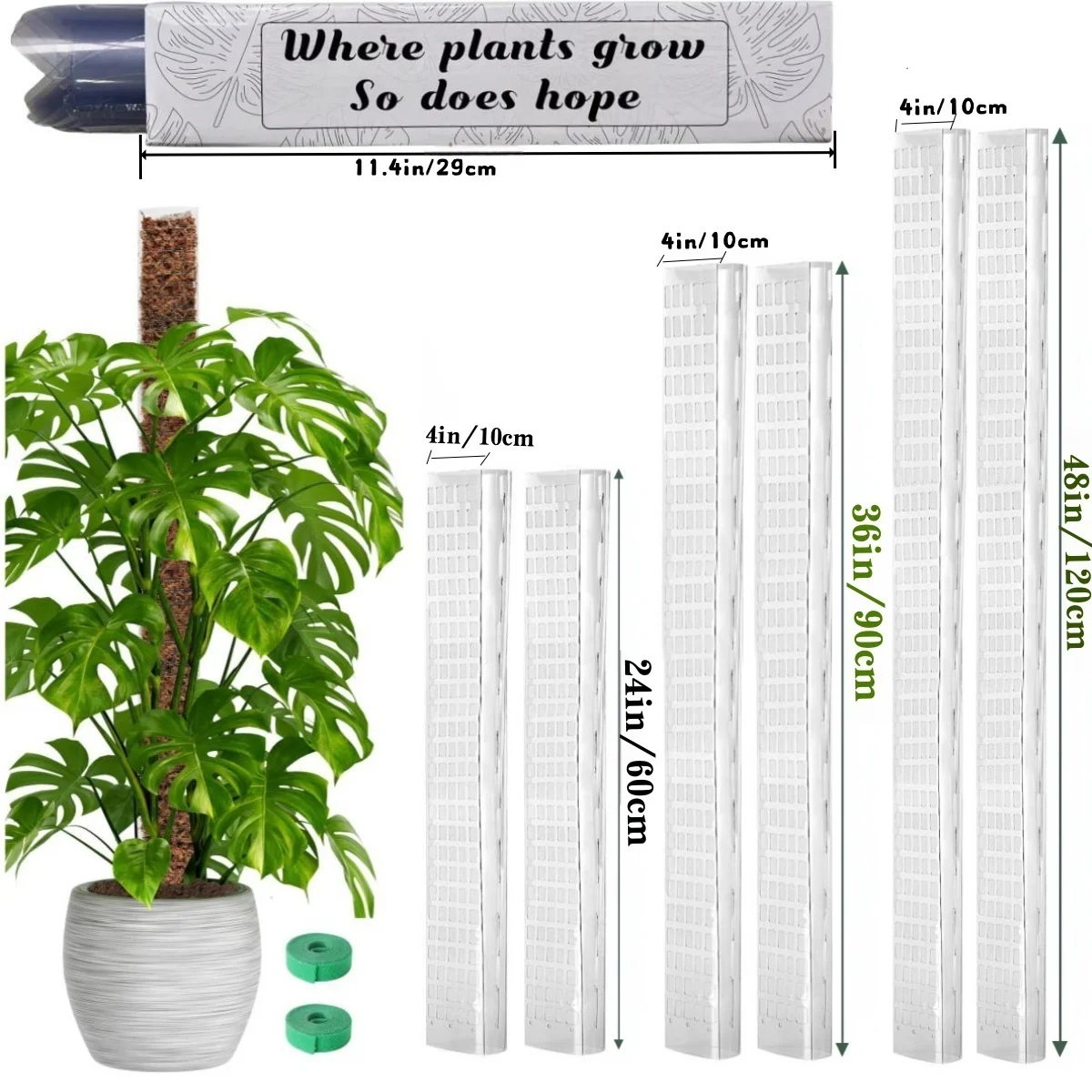 Palo di supporto in plastica d - Sphagnum Moss Dry recensione e prezzo