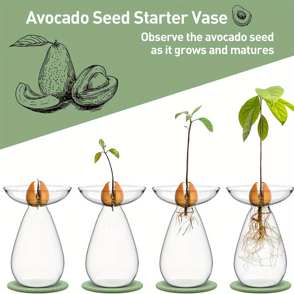 Vaso Idroponico per Semi di Av - Propagation Station Vase recensione e prezzo