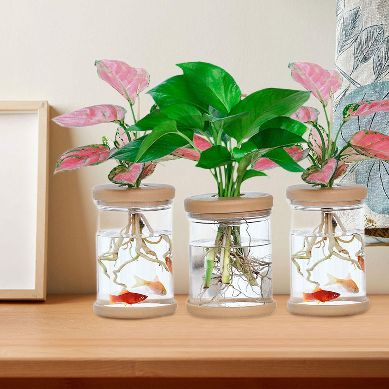 Vasi decorativi per vasi di fi - Propagation Station Vase recensione e prezzo