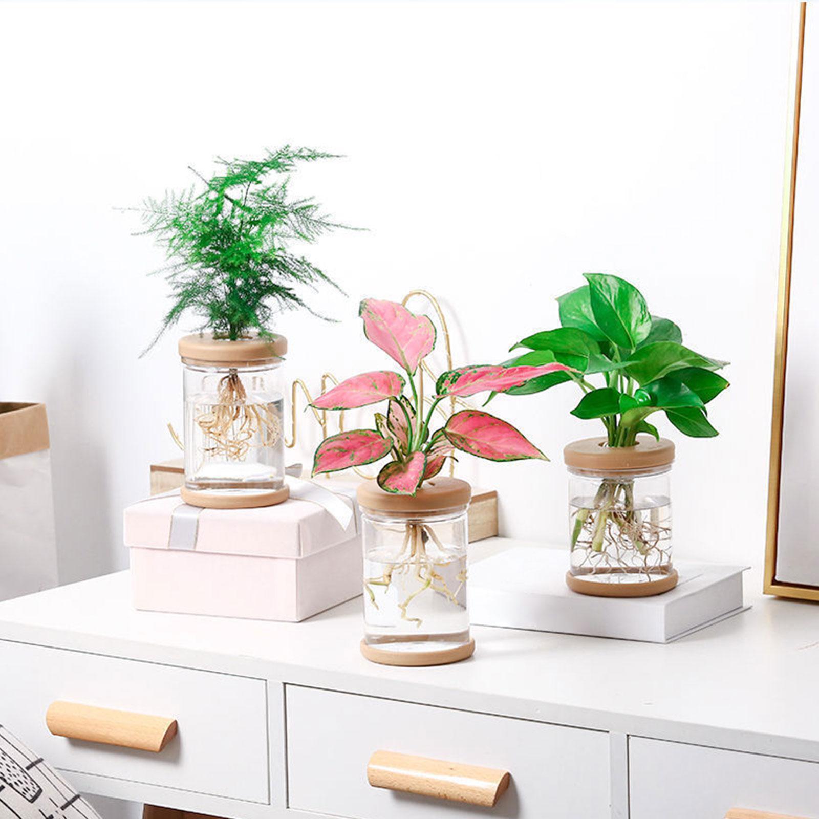 Vasi decorativi per vasi di fi - Propagation Station Vase recensione e prezzo