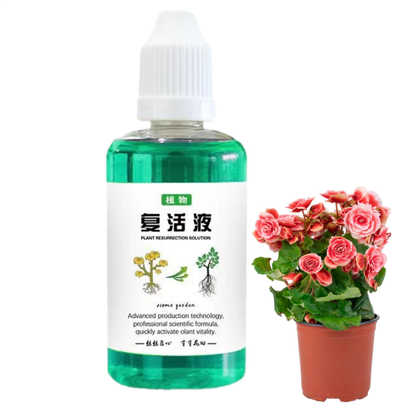 Stimolatore di Radici per Pian - Root Stimulator Liquid recensione e prezzo