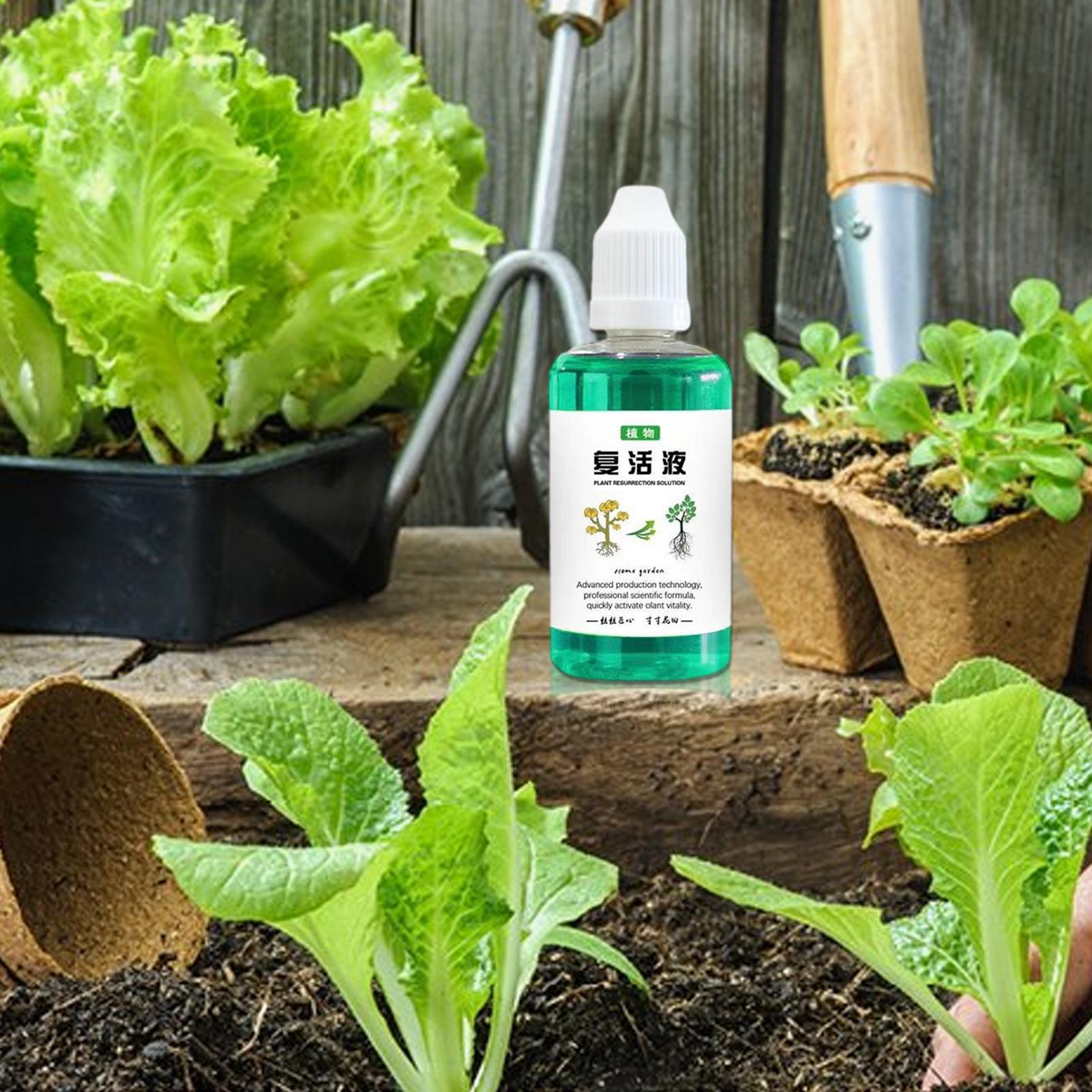 Stimolatore di Radici per Pian - Root Stimulator Liquid recensione e prezzo