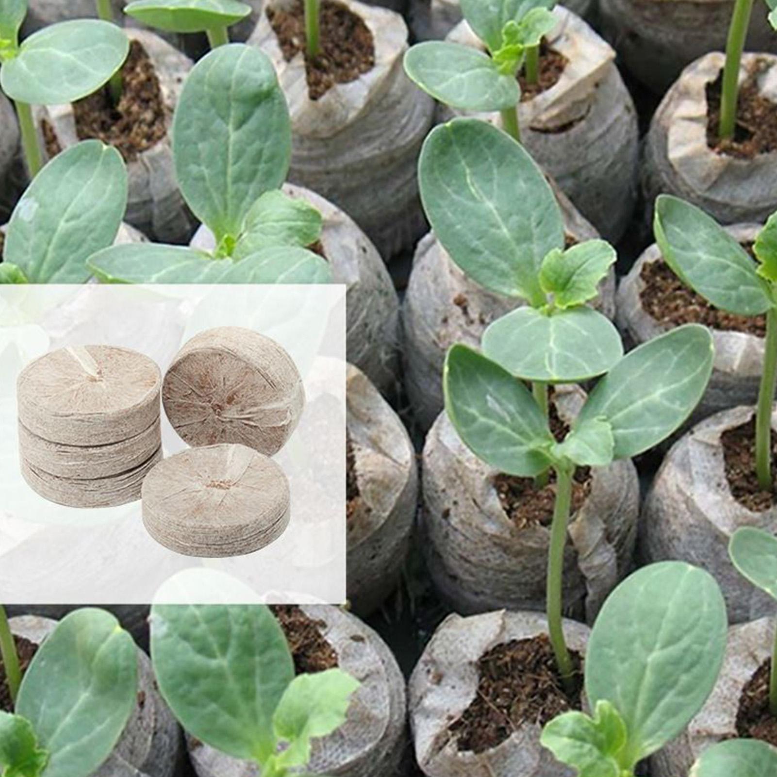100 Pezzi di Vassoi per Miscel - Peat Pellet Tray recensione e prezzo