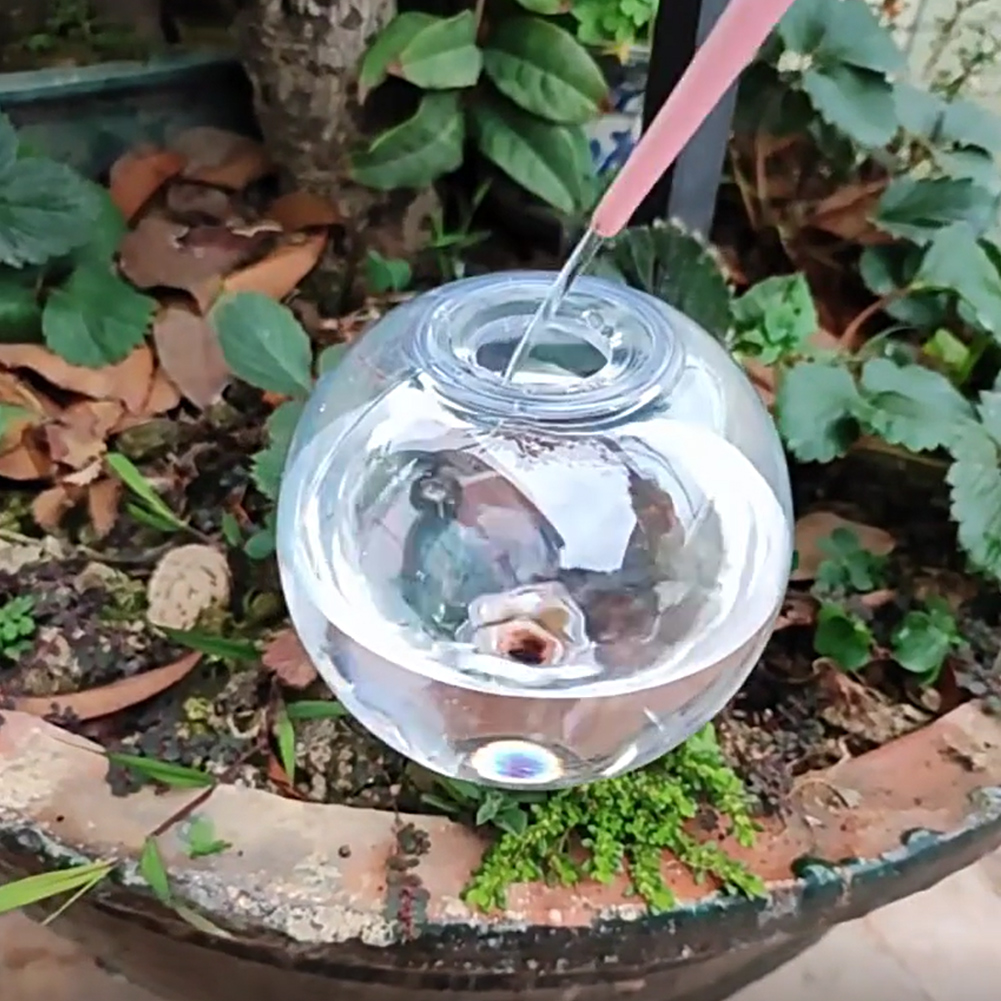 Sistema di irrigazione a gocci - Self Watering Insert recensione e prezzo
